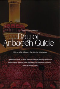 Digital cover preview for a spiral-bound book titled "Day of Arbaeen Guide" with a dark cover showing illuminated domes and minarets, overlaid on a blurred background of similar domes. Large text reads "Day of Arbaeen Guide," "Download Now," and a footer reads "The History of Arbaeen | Recommended Acts on Arbaeen | Poems & Reflections.