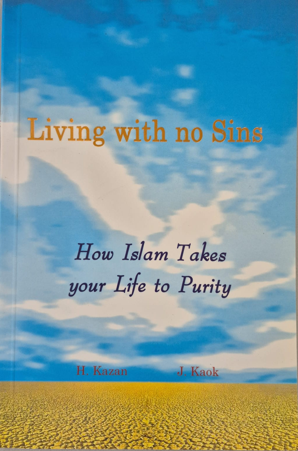 Living with no sins