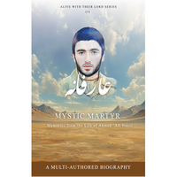 Book cover of 'Mystic Martyr' with a desert landscape and a man's face.