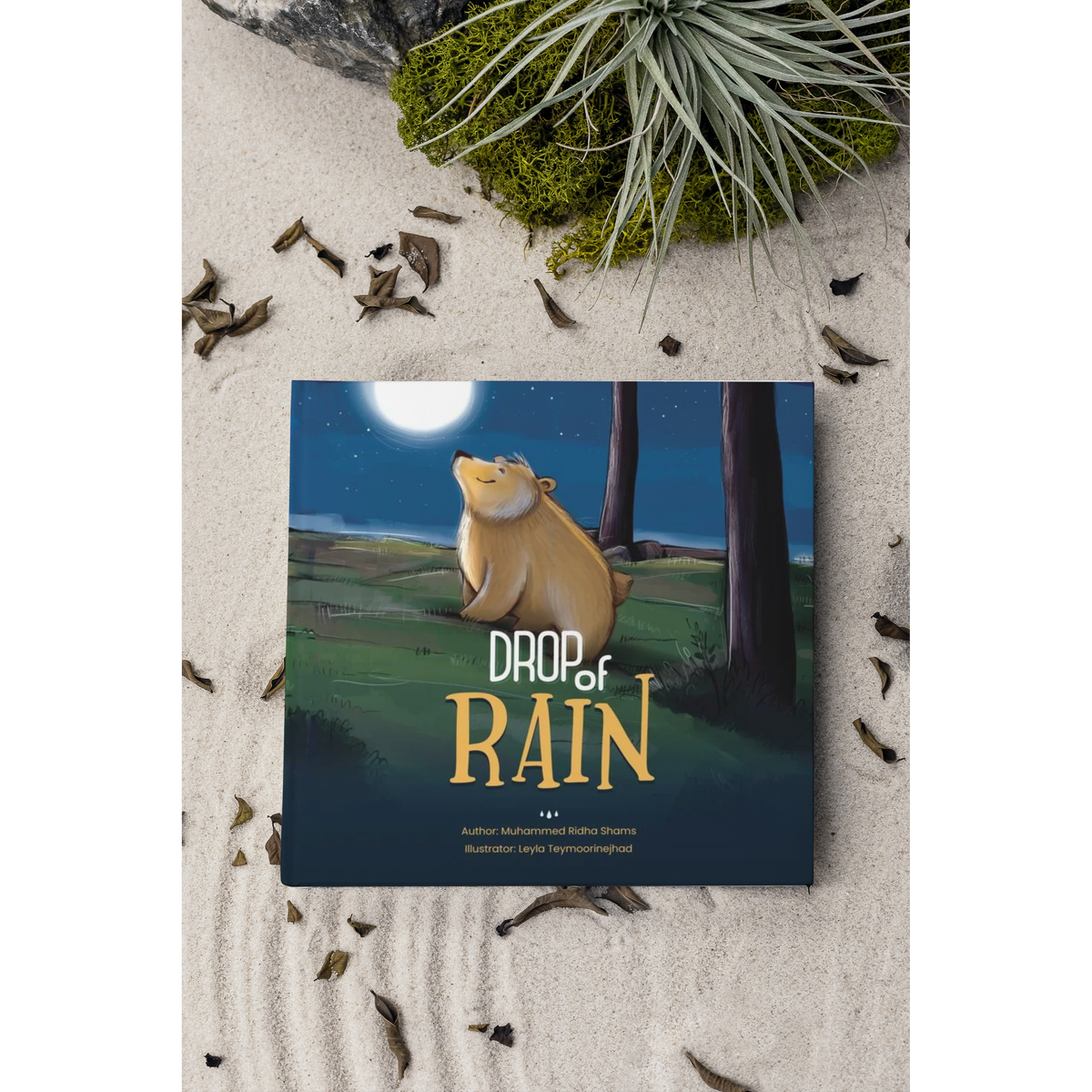 Drop of Rain