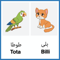 Aasaan Urdu Alfaaz / Jaanvar / Animals (Step 1)