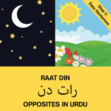 Raat Din / Opposites (Step 2)