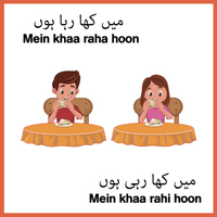 Rozana Kay Jumlay / Everyday Phrases (Step 2)